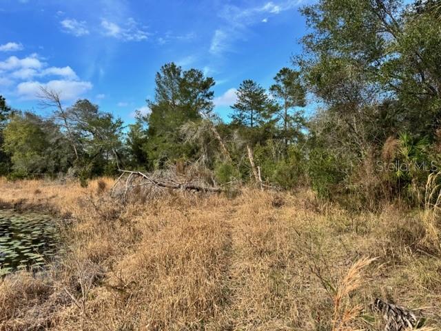 Image 15 of 19 For 195 Lake Molly Avenue