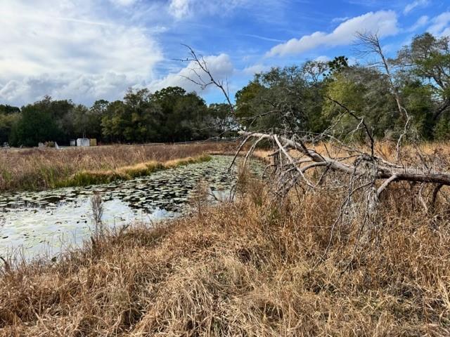 Image 17 of 19 For 195 Lake Molly Avenue