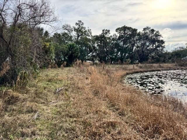 Image 18 of 19 For 195 Lake Molly Avenue