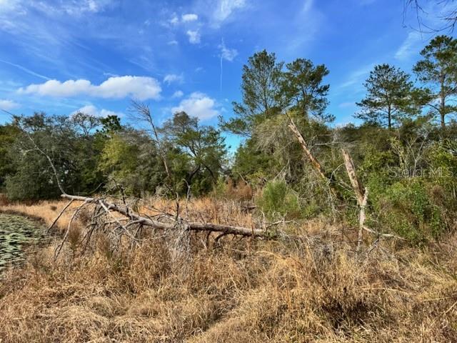 Image 19 of 19 For 195 Lake Molly Avenue