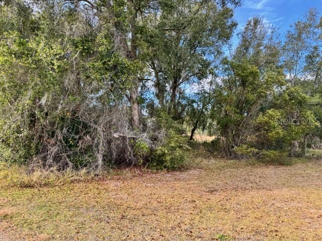 Image 3 of 19 For 195 Lake Molly Avenue