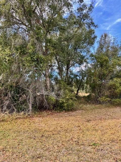 Image 4 of 19 For 195 Lake Molly Avenue