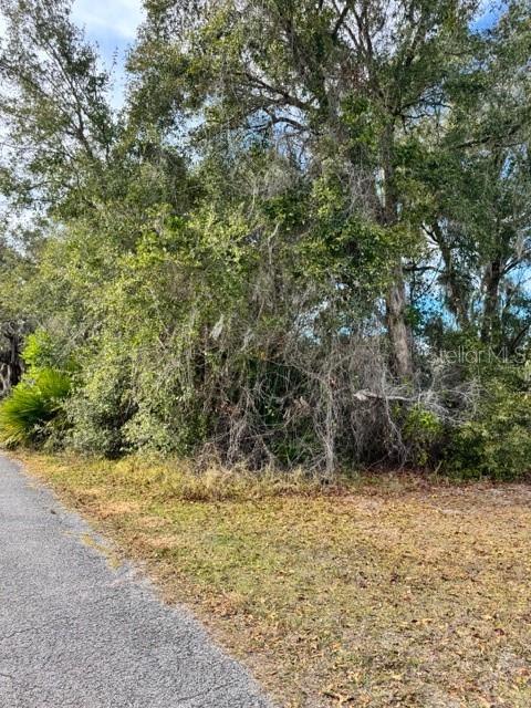 Image 5 of 19 For 195 Lake Molly Avenue