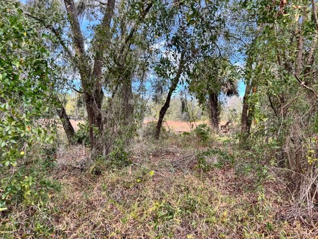 Image 6 of 19 For 195 Lake Molly Avenue