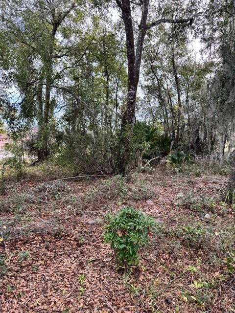 Image 7 of 19 For 195 Lake Molly Avenue