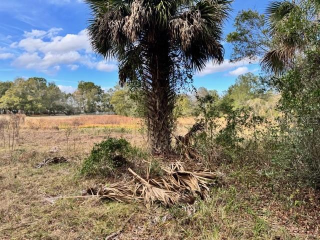 Image 8 of 19 For 195 Lake Molly Avenue