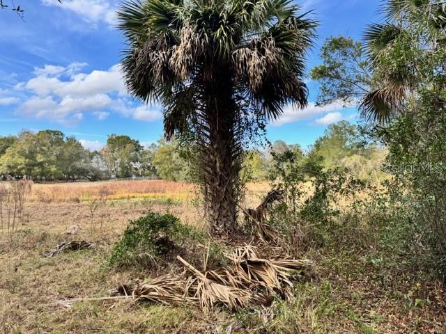 Image 9 of 19 For 195 Lake Molly Avenue