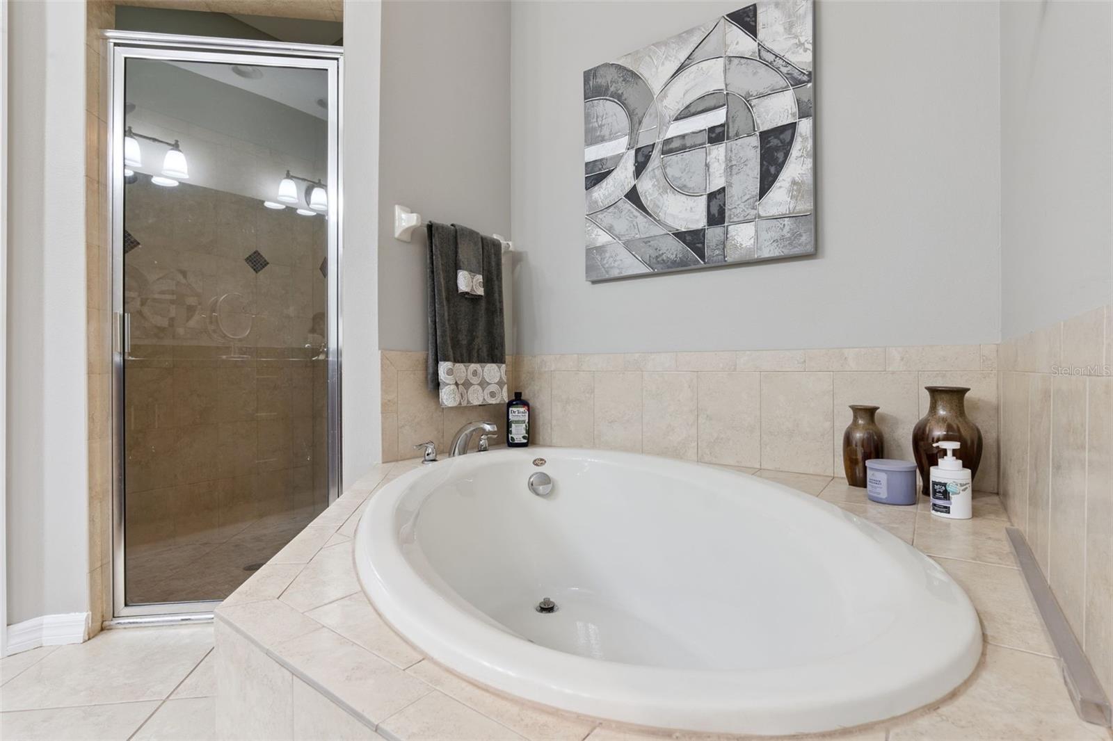 Image 11 of 30 For 5628 Siracusa Lane