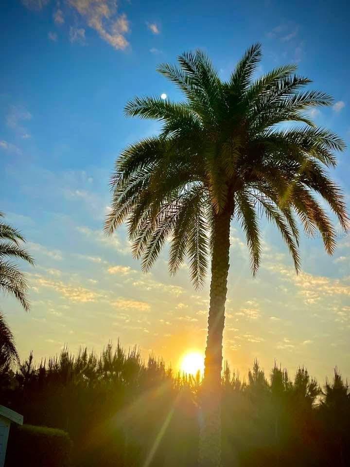 Image 36 of 43 For 2457 St George Drive