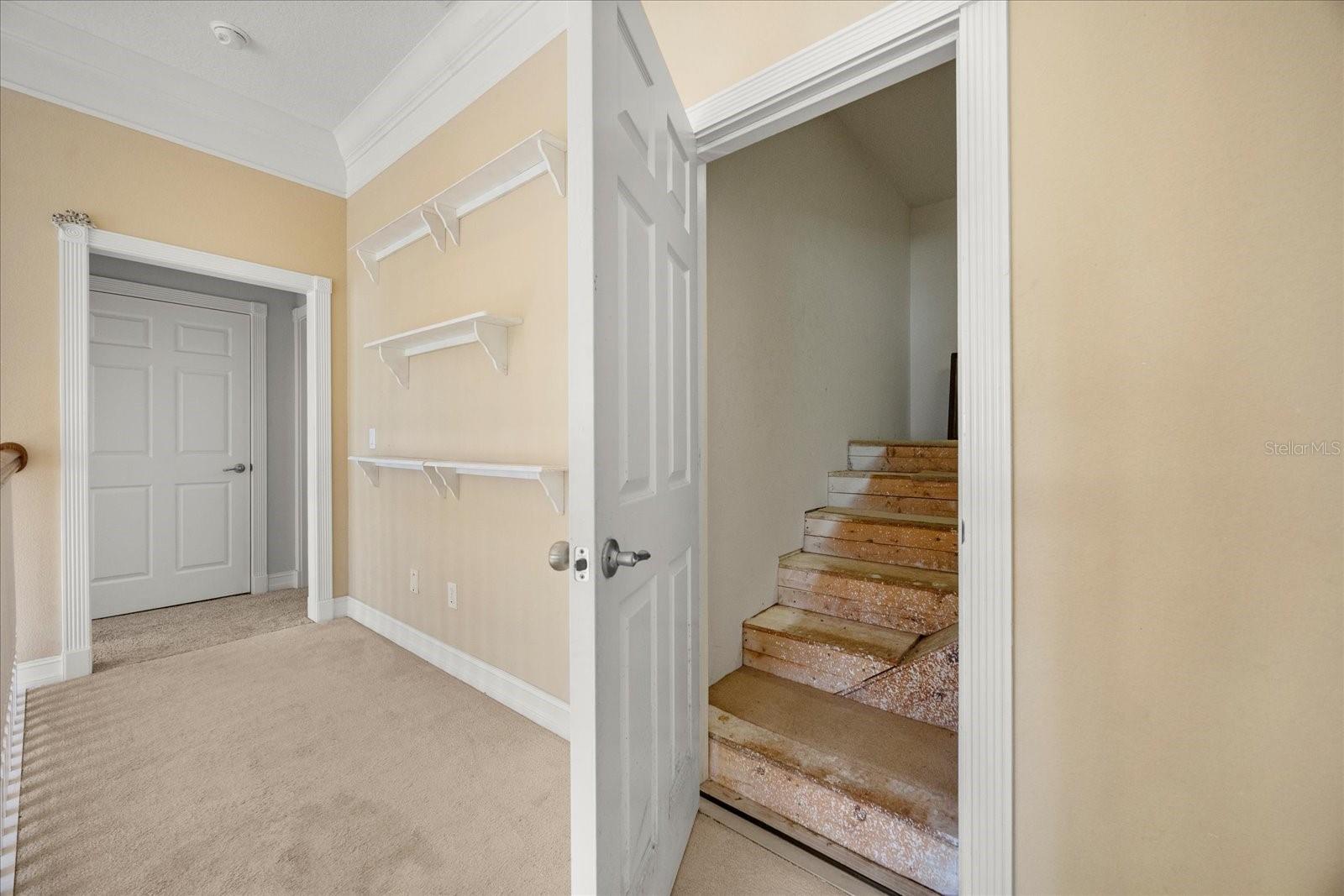 Image 24 of 55 For 3430 Celery Avenue