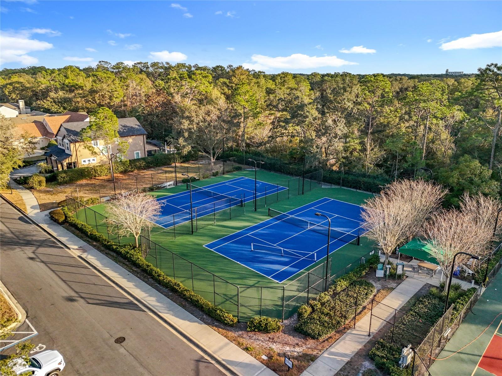 Image 79 of 91 For 295 Northcote Court