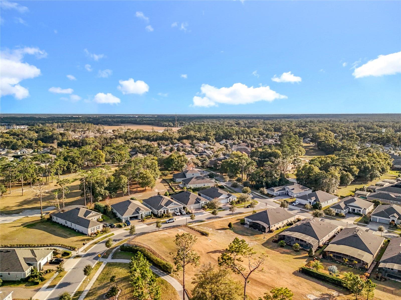 Image 8 of 91 For 295 Northcote Court