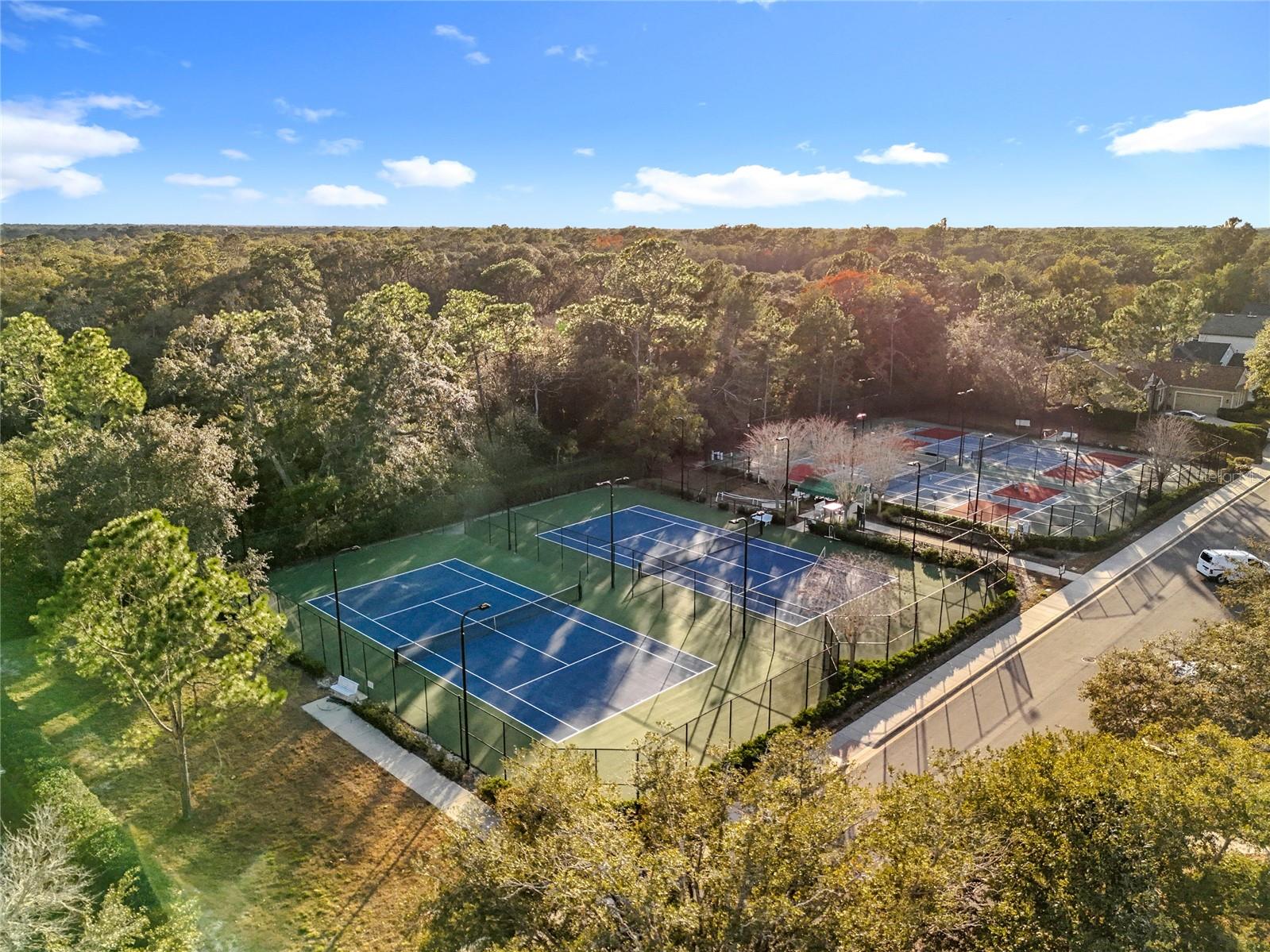 Image 80 of 91 For 295 Northcote Court