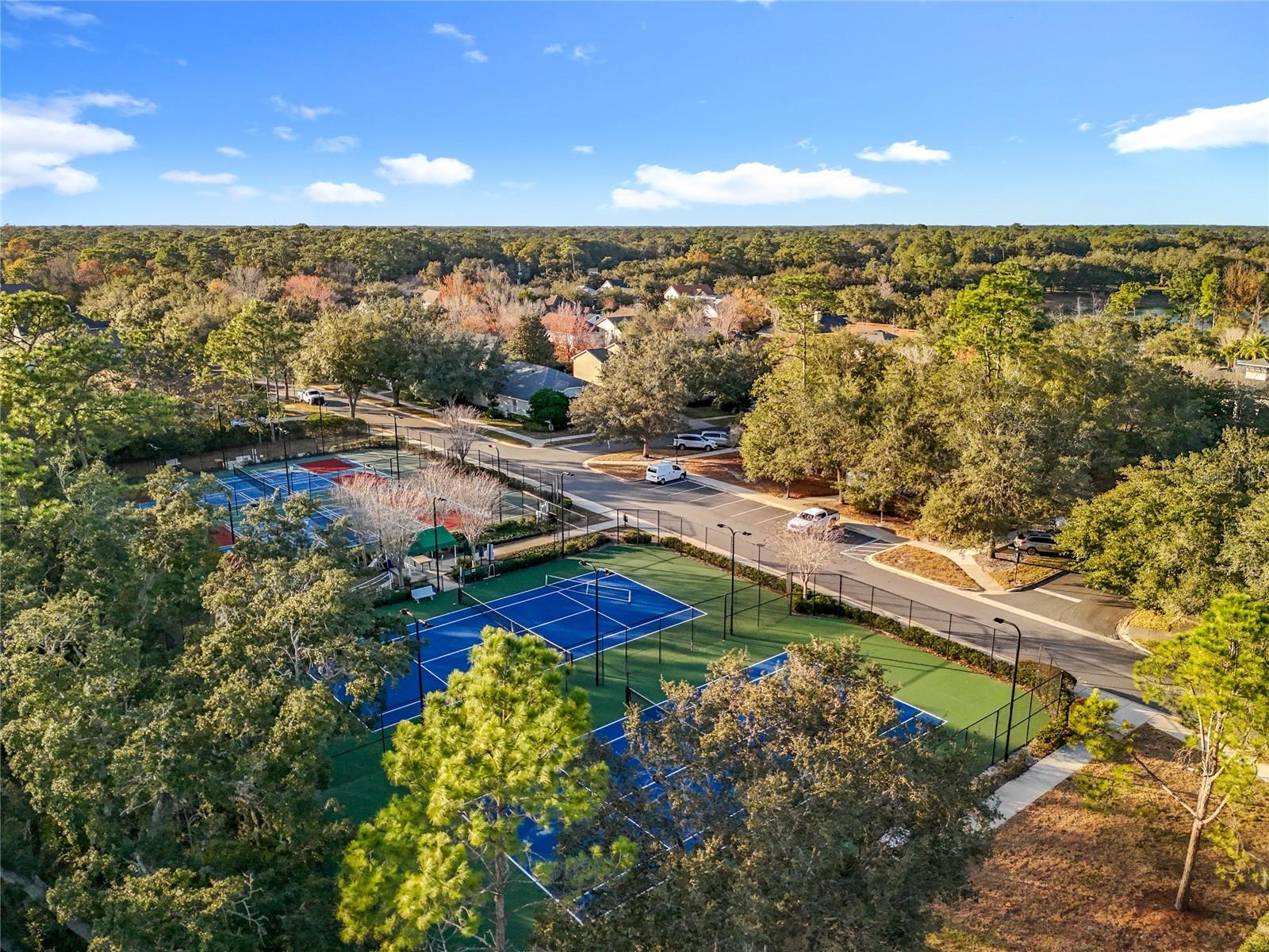 Image 81 of 91 For 295 Northcote Court