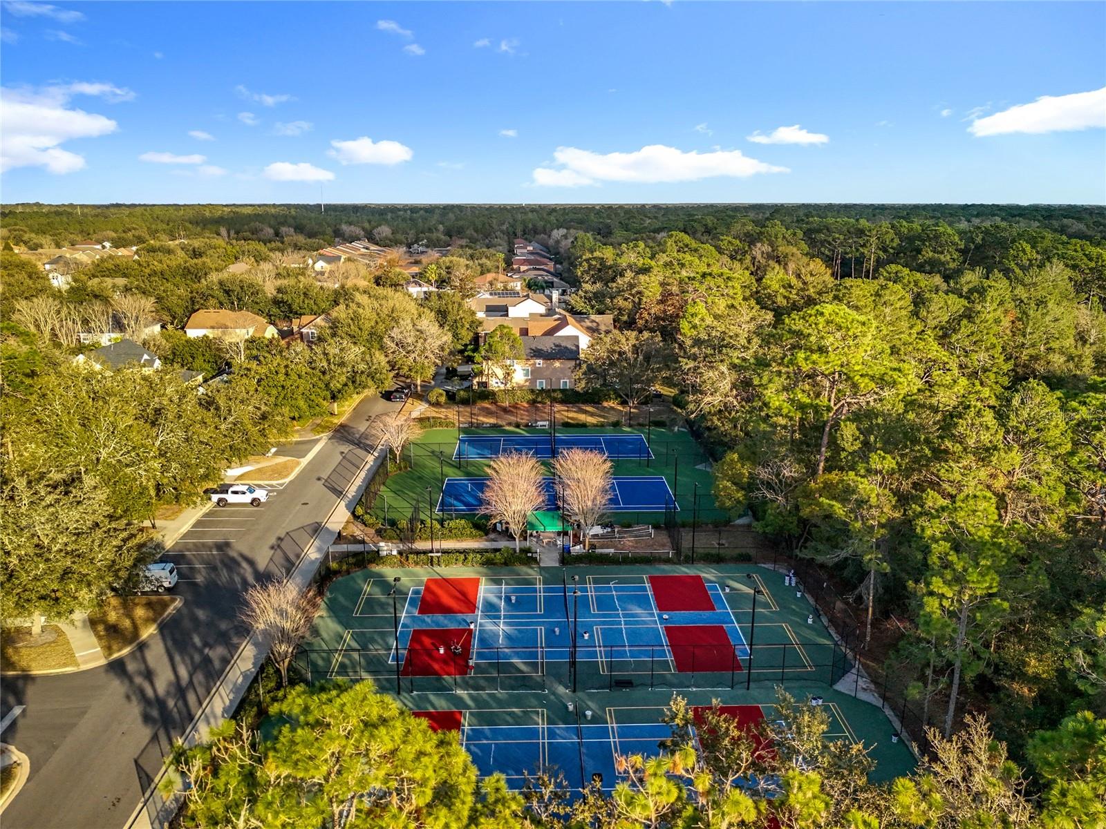 Image 83 of 91 For 295 Northcote Court