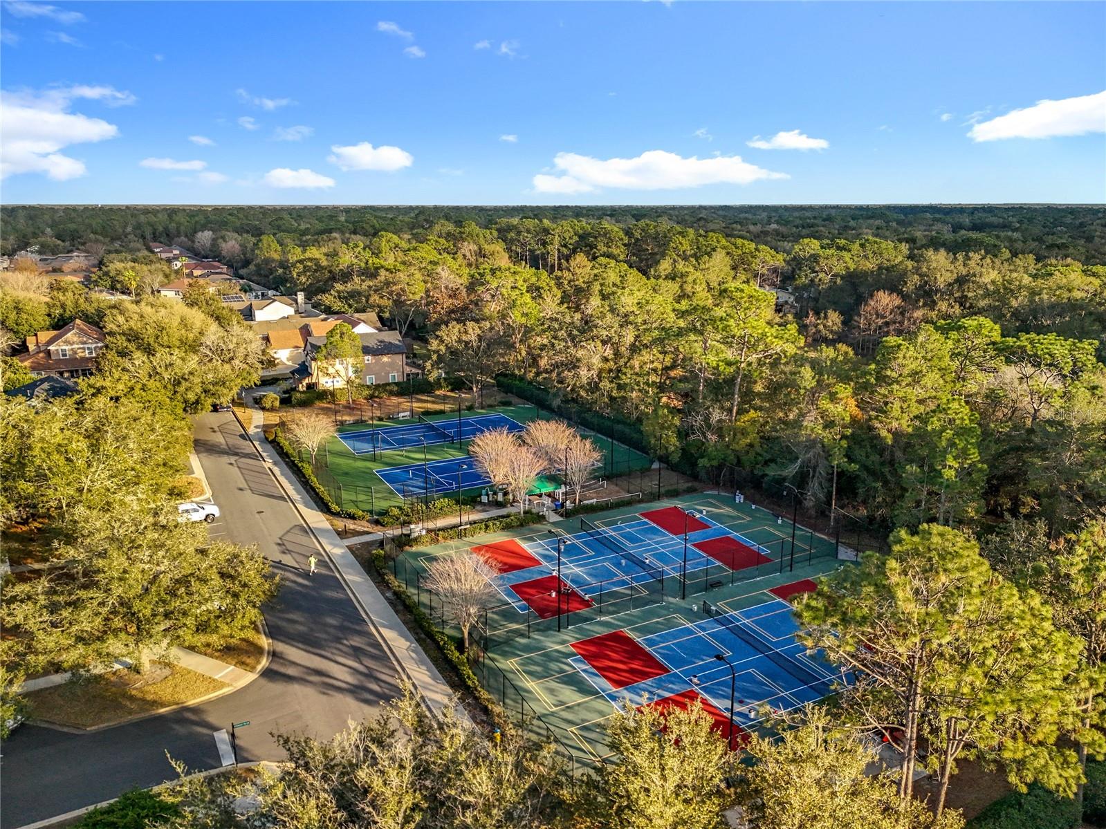 Image 84 of 91 For 295 Northcote Court
