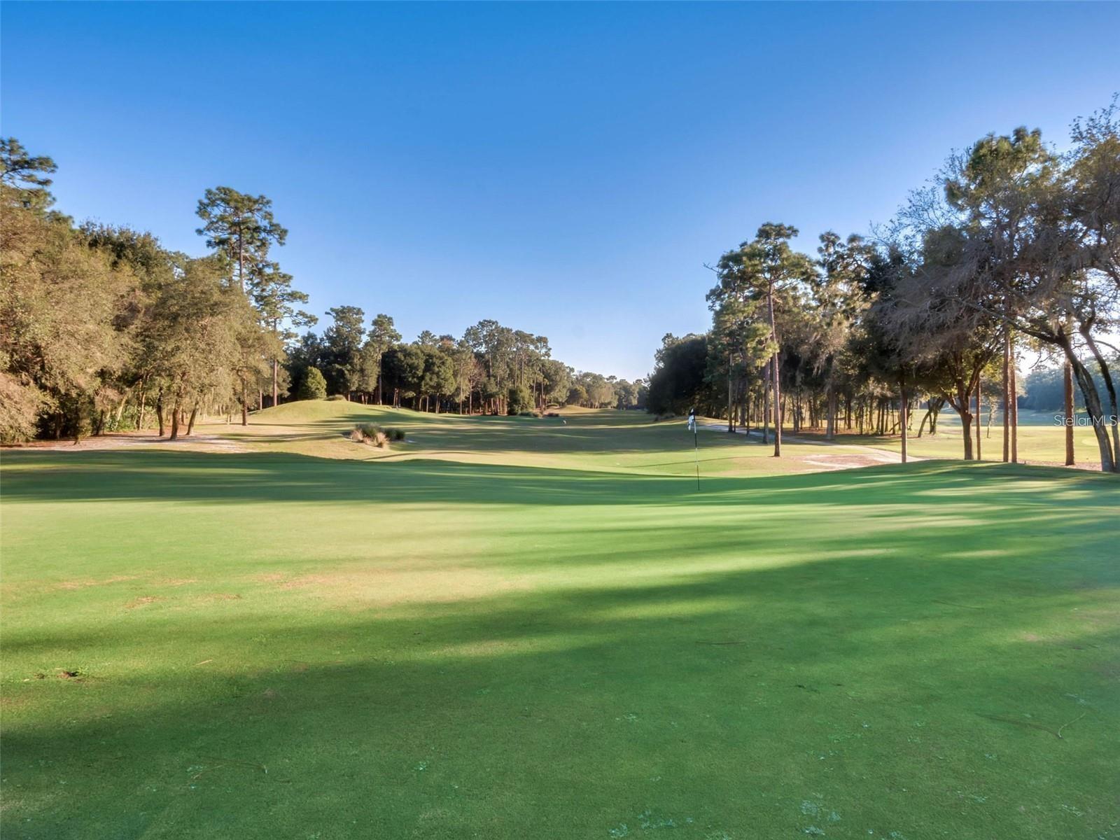 Image 89 of 91 For 295 Northcote Court