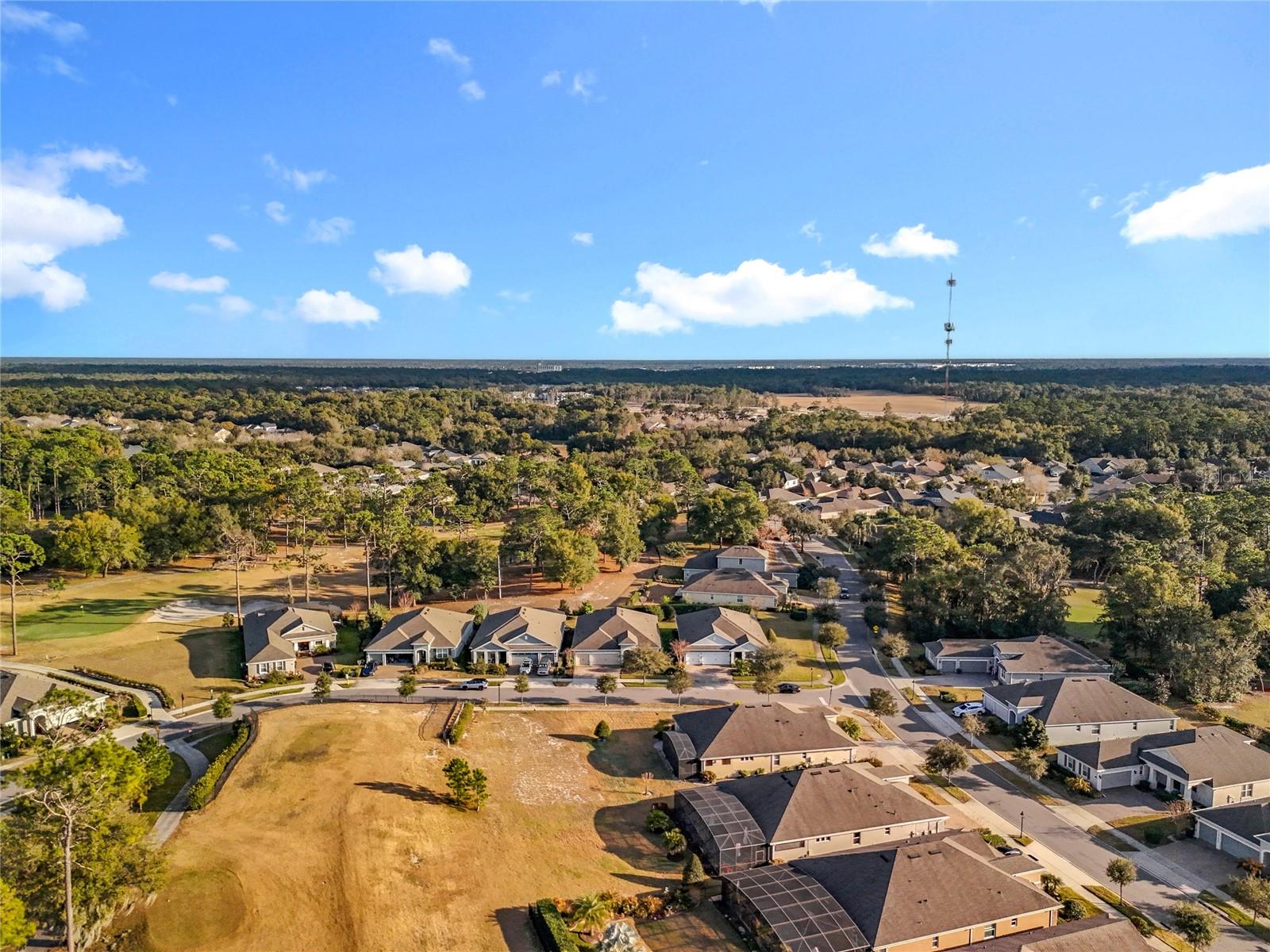 Image 9 of 91 For 295 Northcote Court