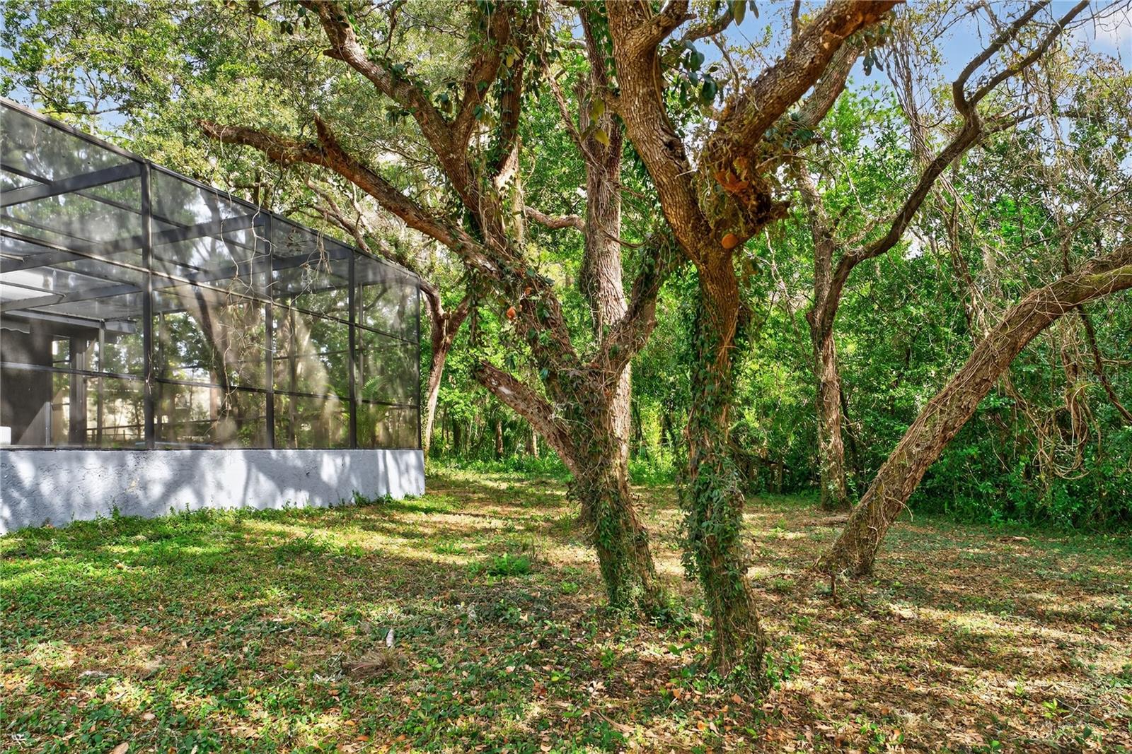 Image 56 of 58 For 305 Sweetwater Club Circle