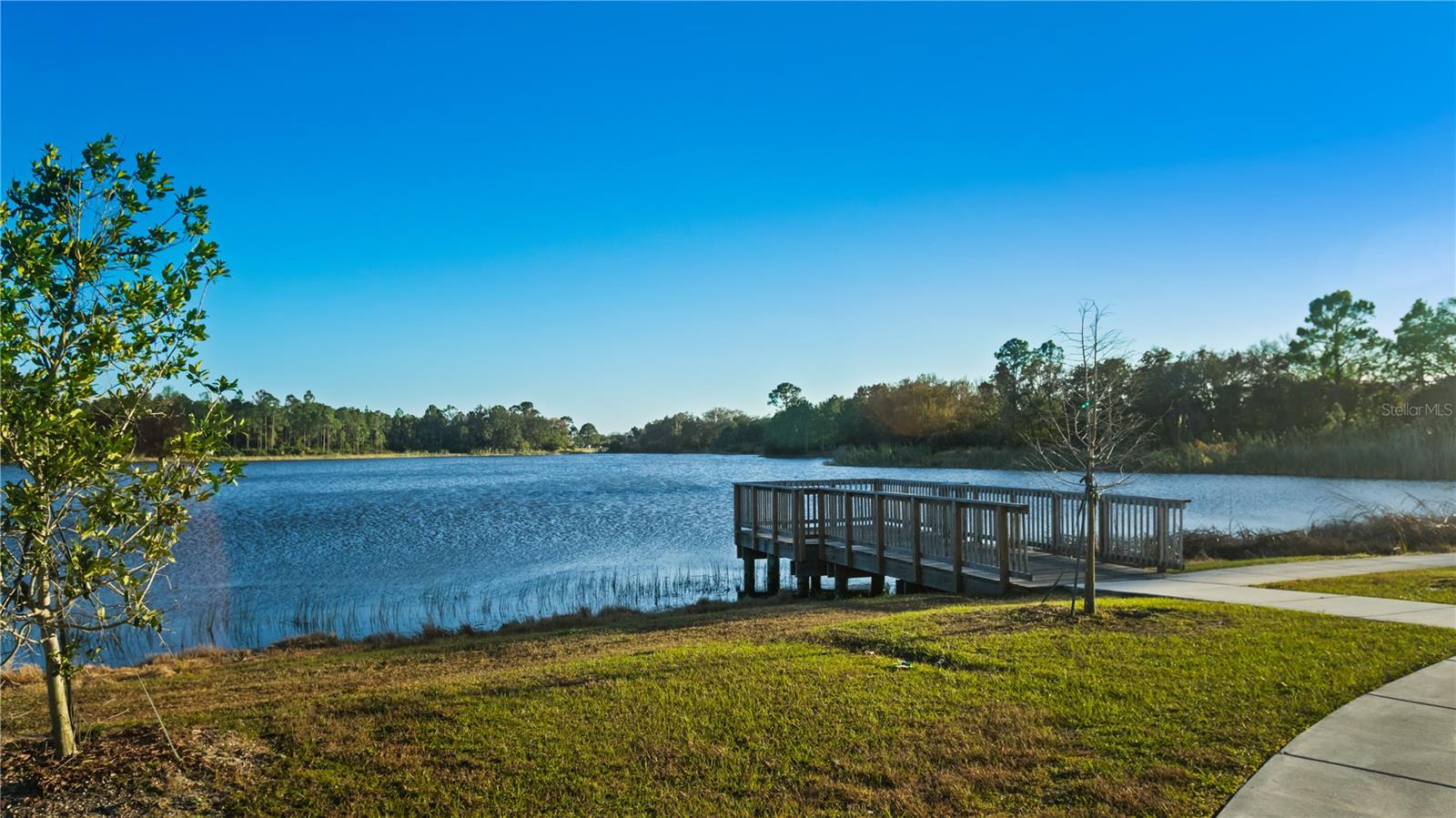 Image 21 of 26 For 5954 Orsino Lane