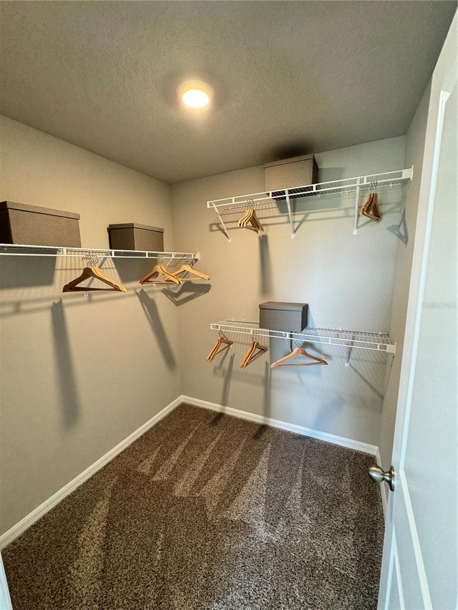 Image 9 of 11 For 32081 Pond Apple Bend