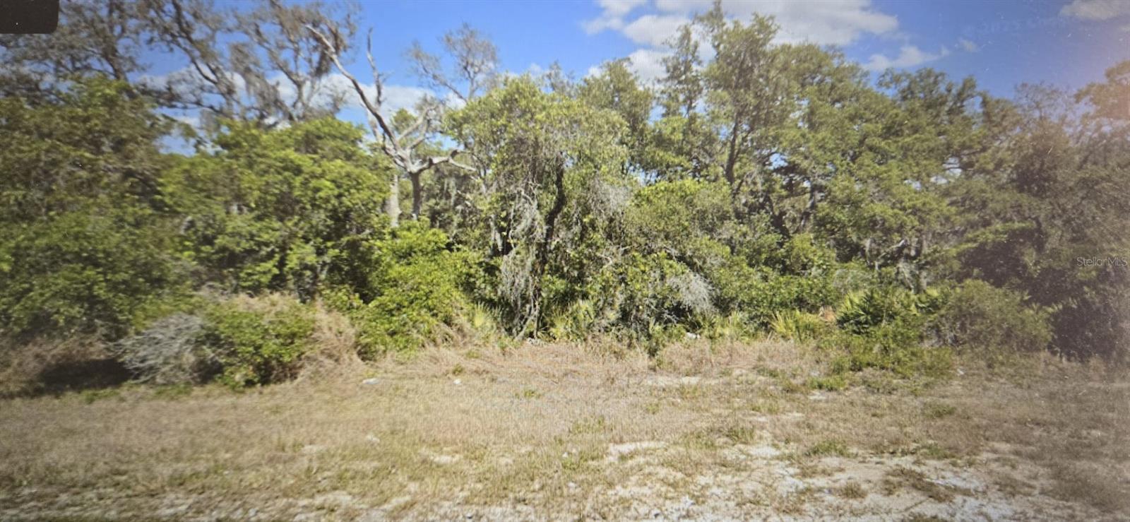 Listing Details for 6110 County Road 17 S, SEBRING, FL 33876