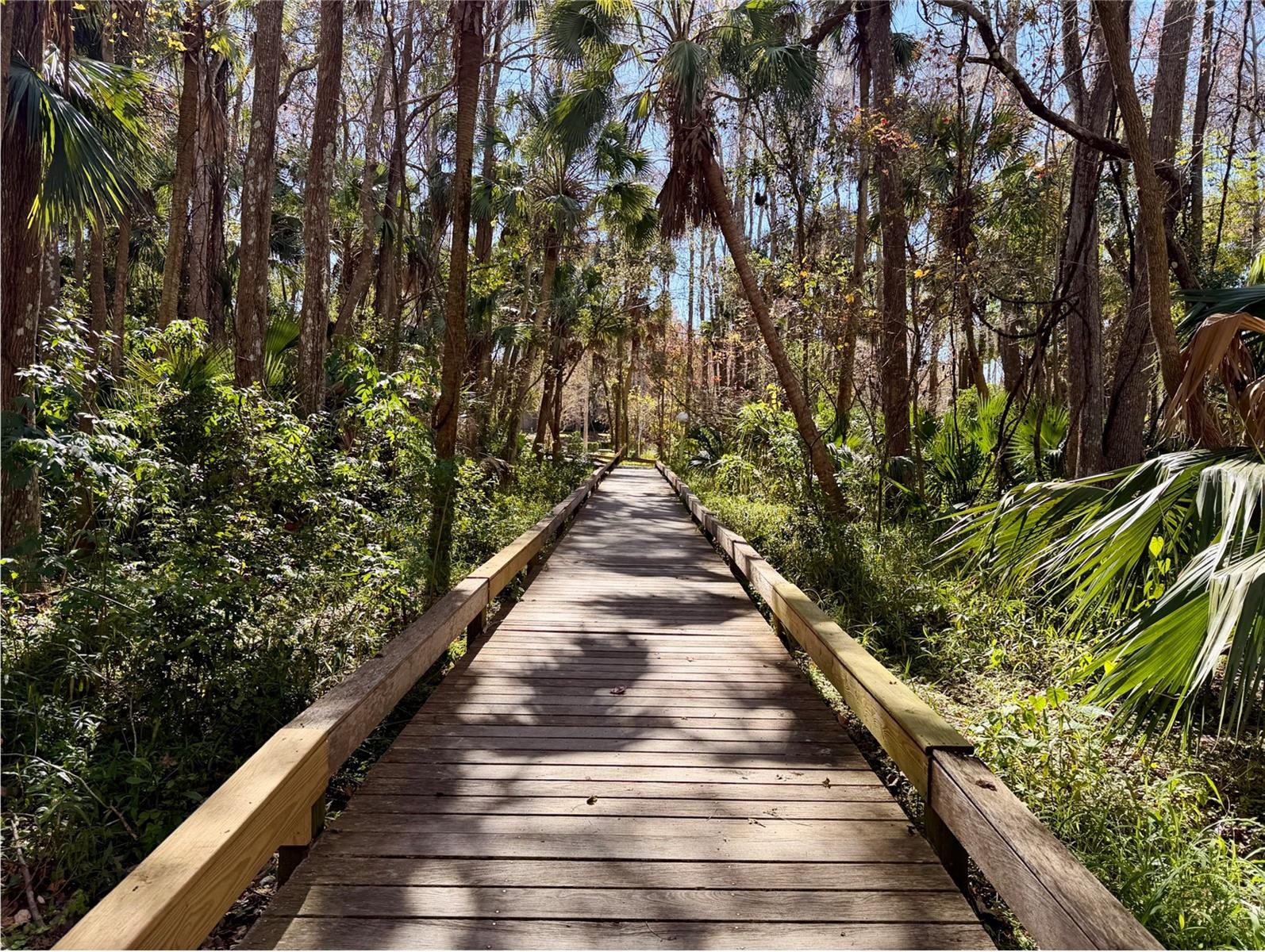 Image 59 of 77 For 217 Tomoka Trail 217