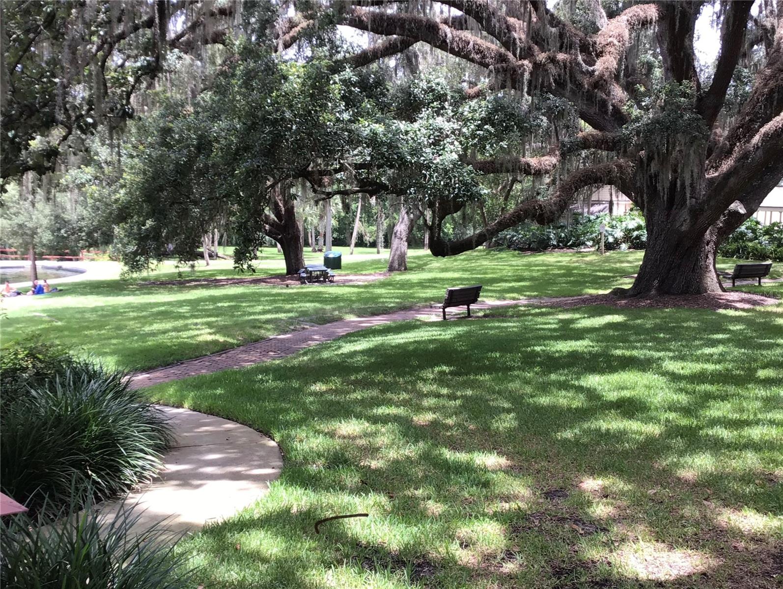 Image 69 of 77 For 217 Tomoka Trail 217