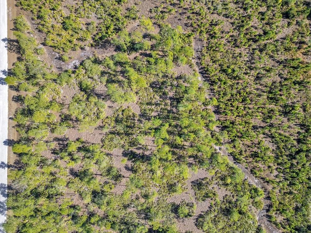 Image 15 of 34 For Meadowlark Boulevard