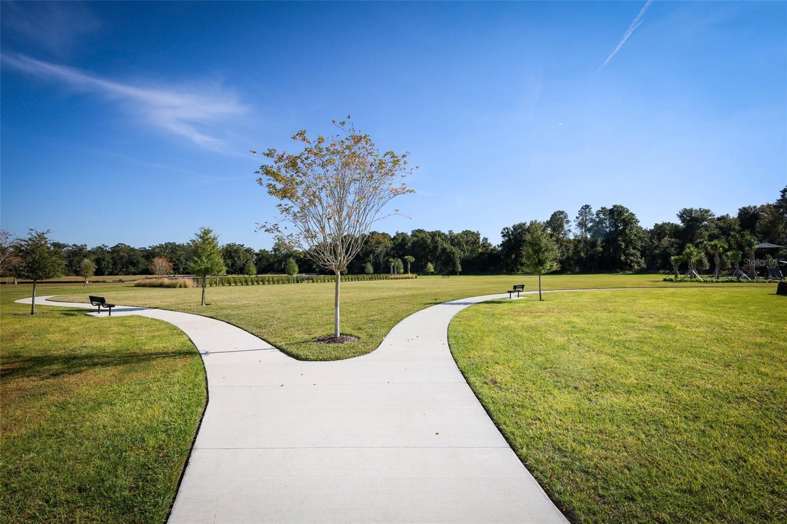 Image 35 of 40 For 3519 Briarwood Grove Drive