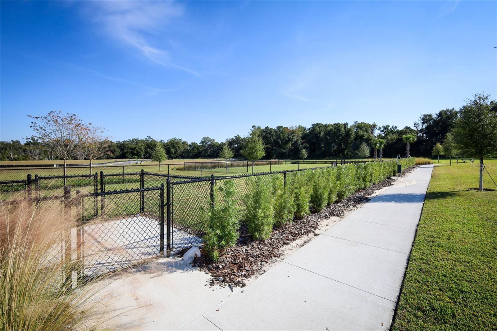 Image 36 of 40 For 3519 Briarwood Grove Drive