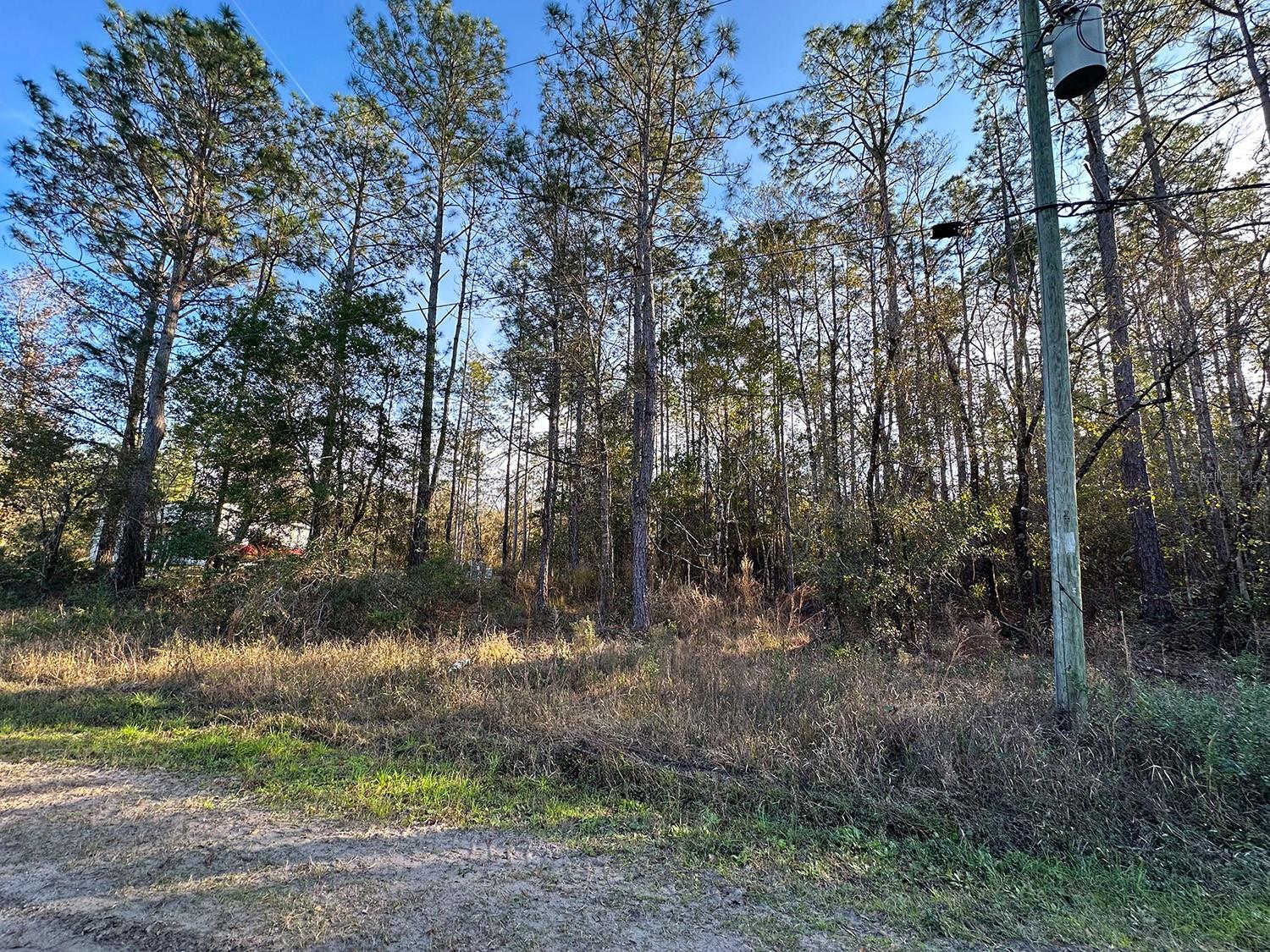 Image 10 of 22 For Lot 428 Division Street