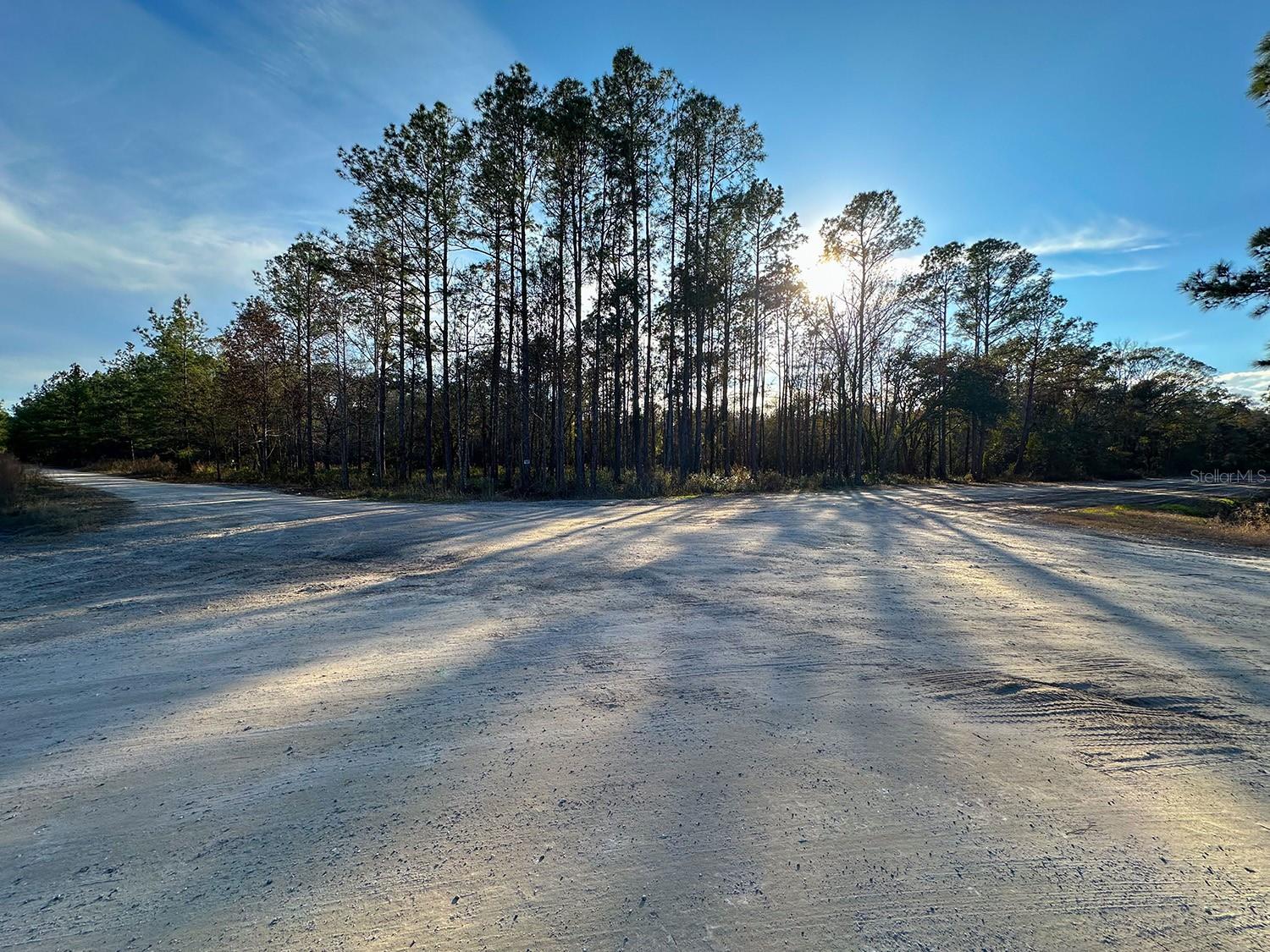 Image 15 of 22 For Lot 428 Division Street