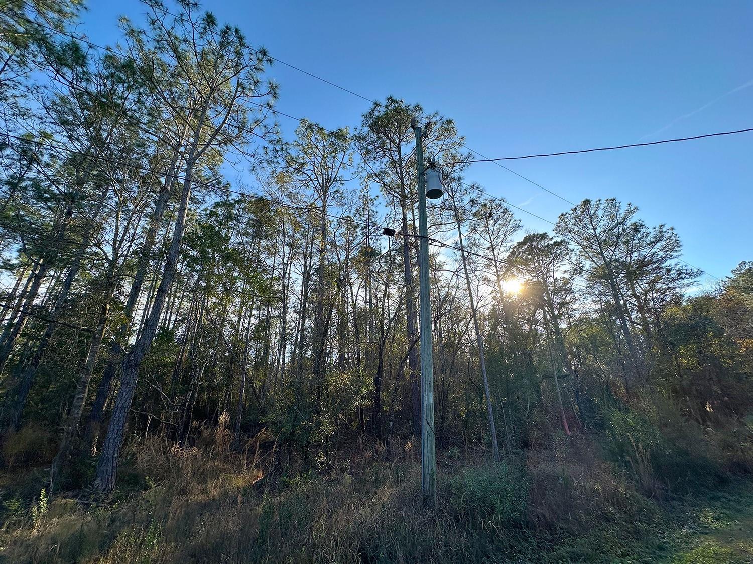 Image 8 of 22 For Lot 428 Division Street