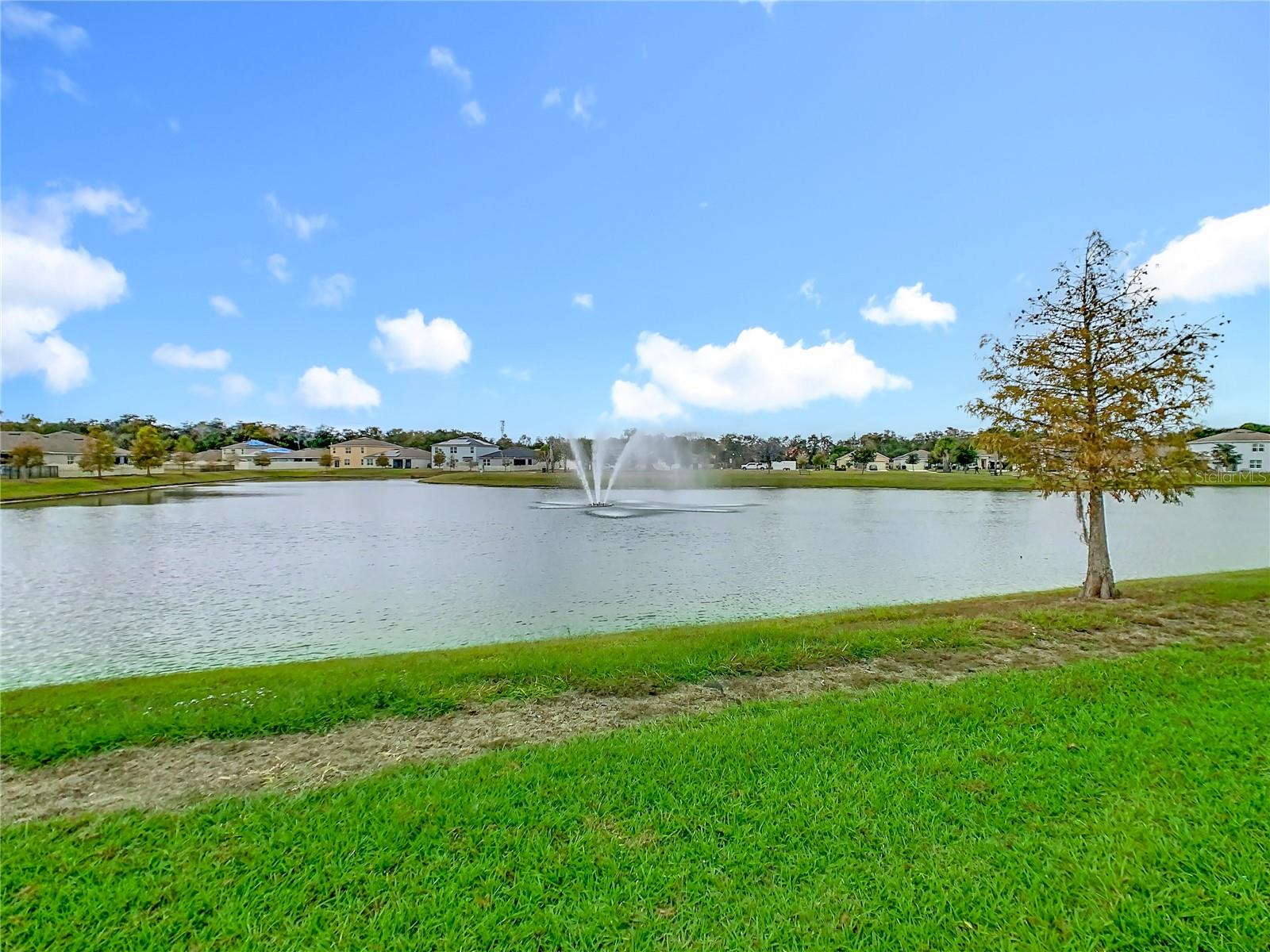 Image 32 of 34 For 3348 Perennial Lane