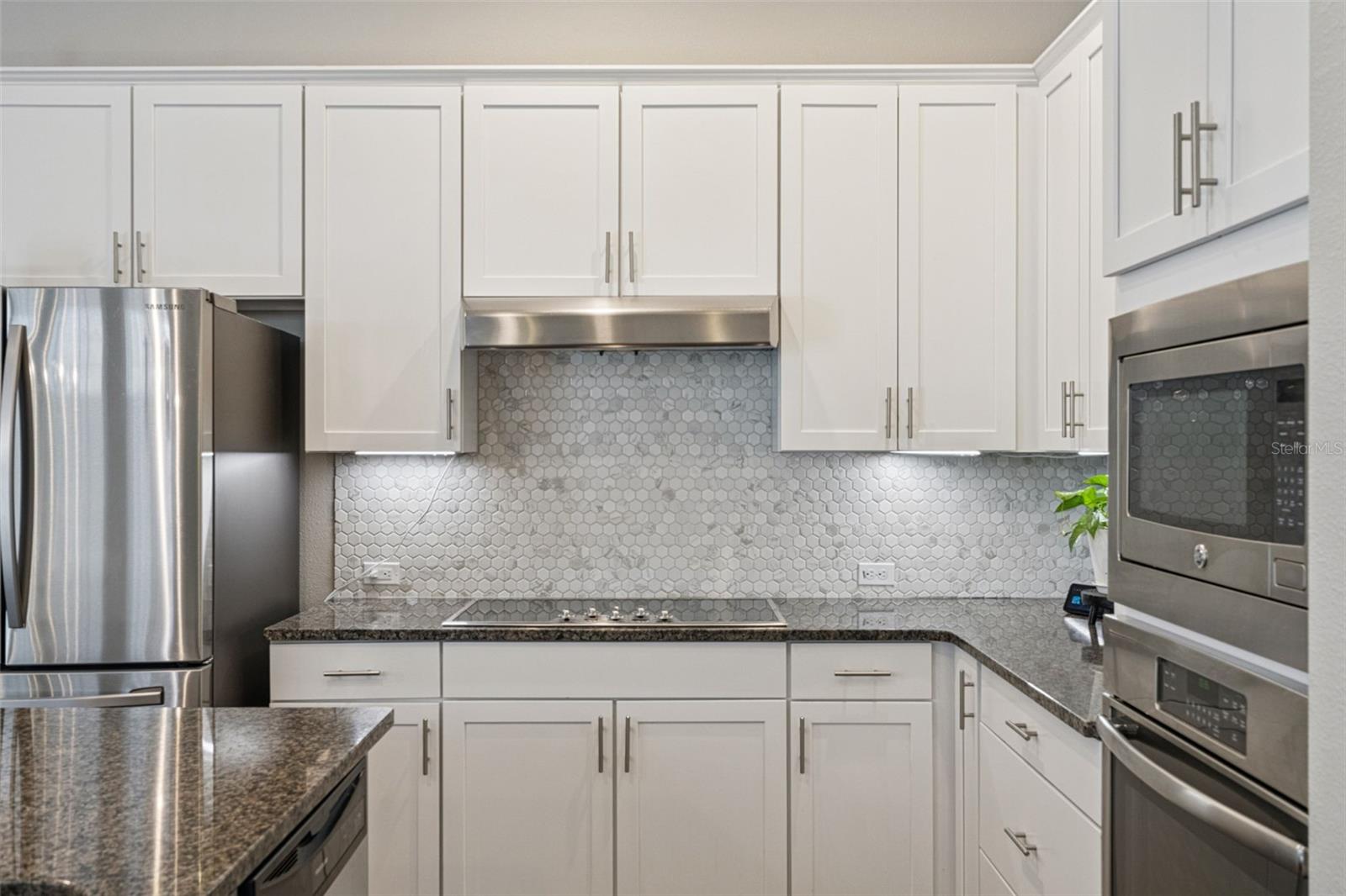 Image 21 of 82 For 1565 Castile Street