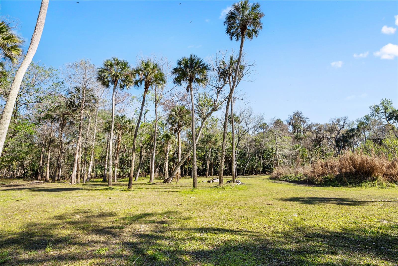 Image 32 of 53 For 295 Jungle Road