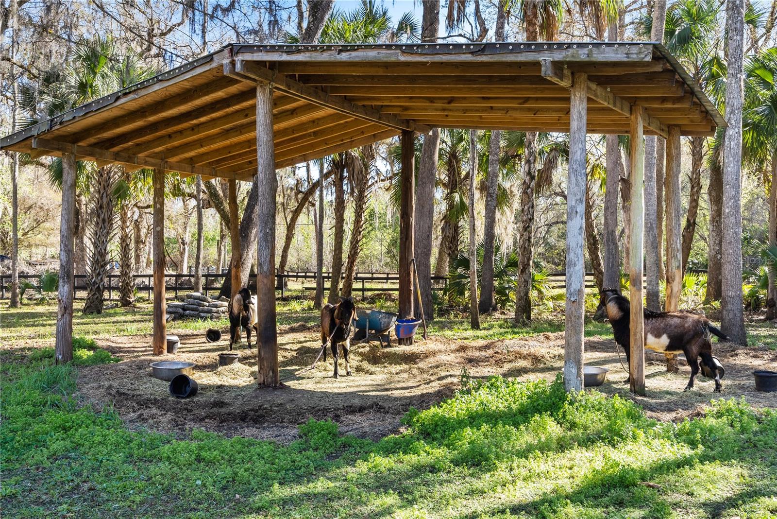 Image 34 of 53 For 295 Jungle Road