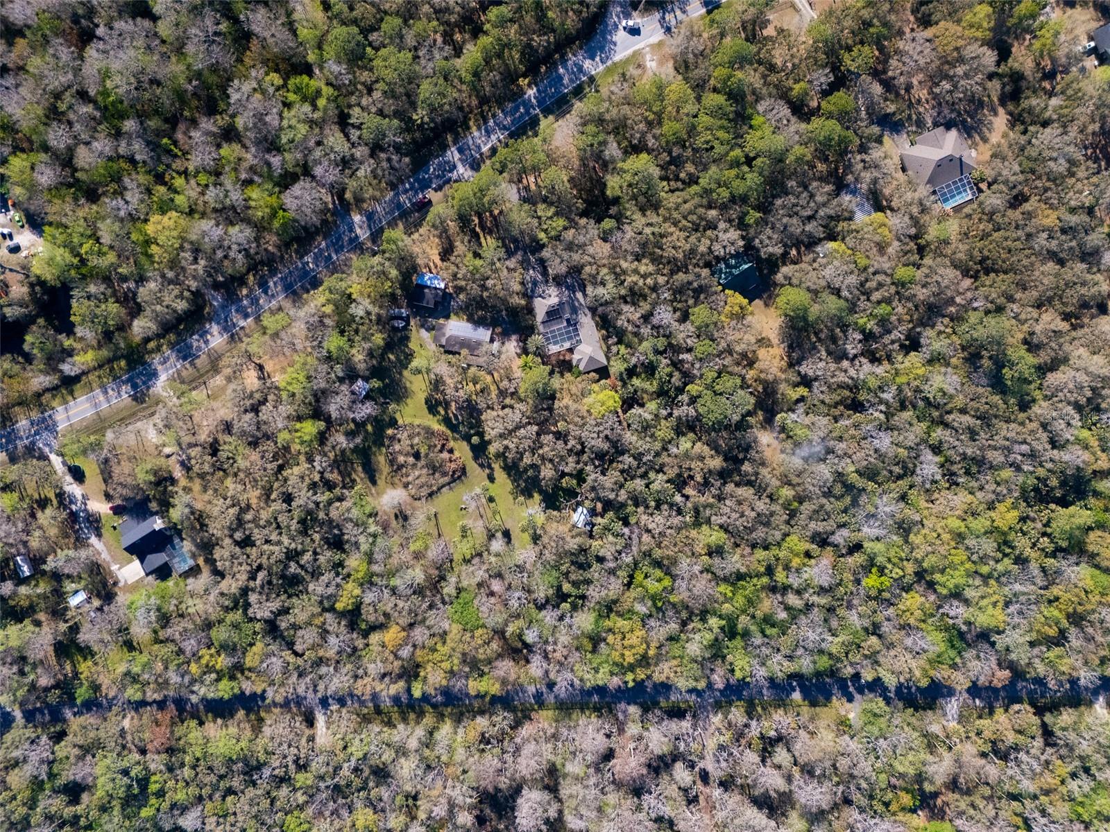 Image 43 of 53 For 295 Jungle Road