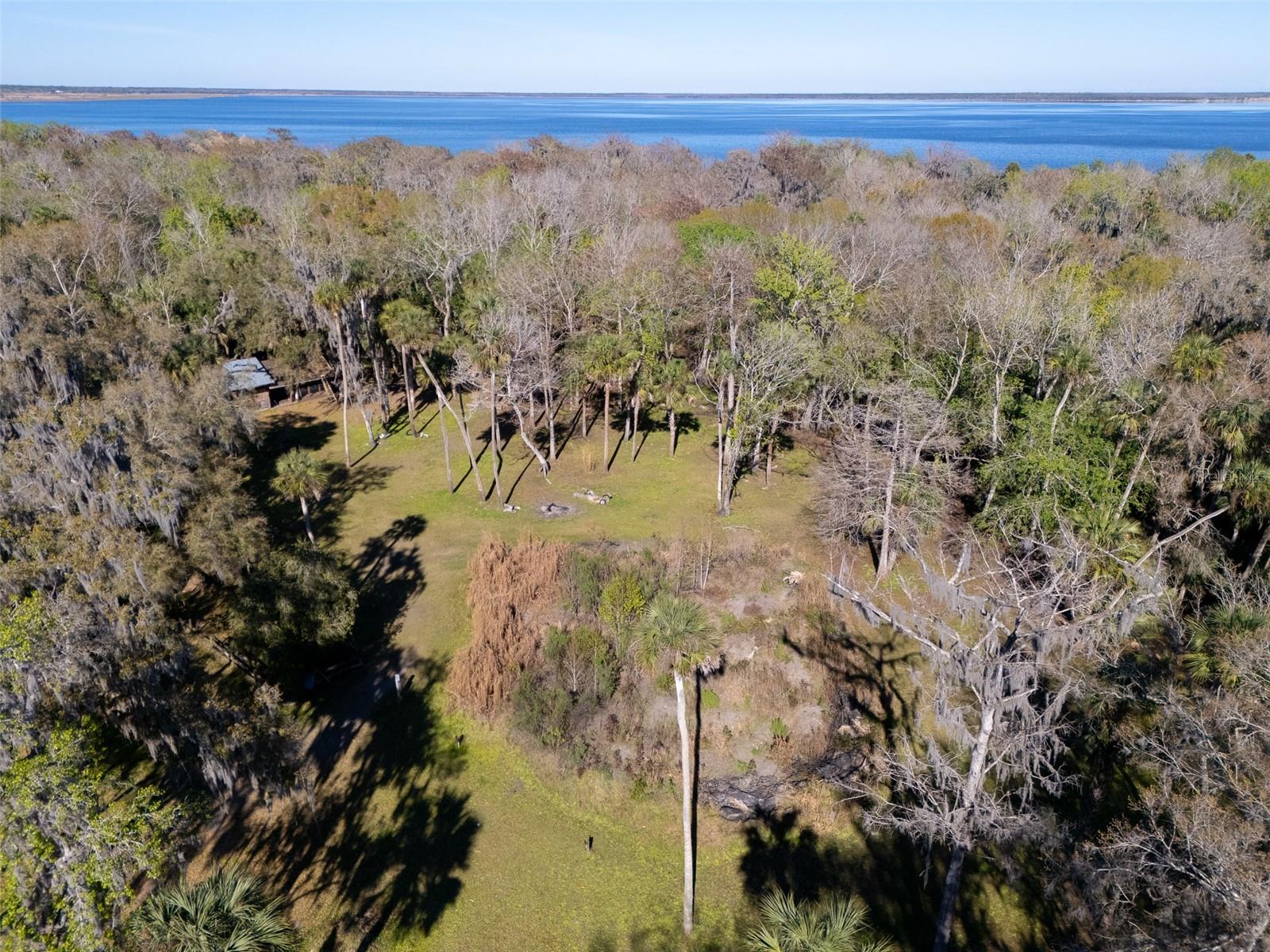 Image 46 of 53 For 295 Jungle Road