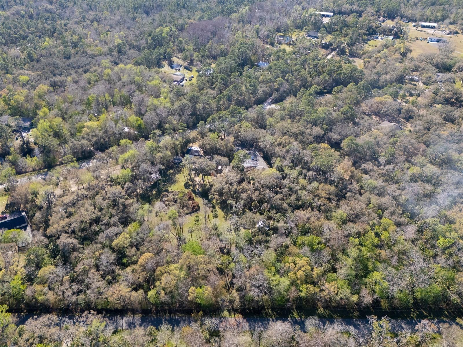 Image 49 of 53 For 295 Jungle Road