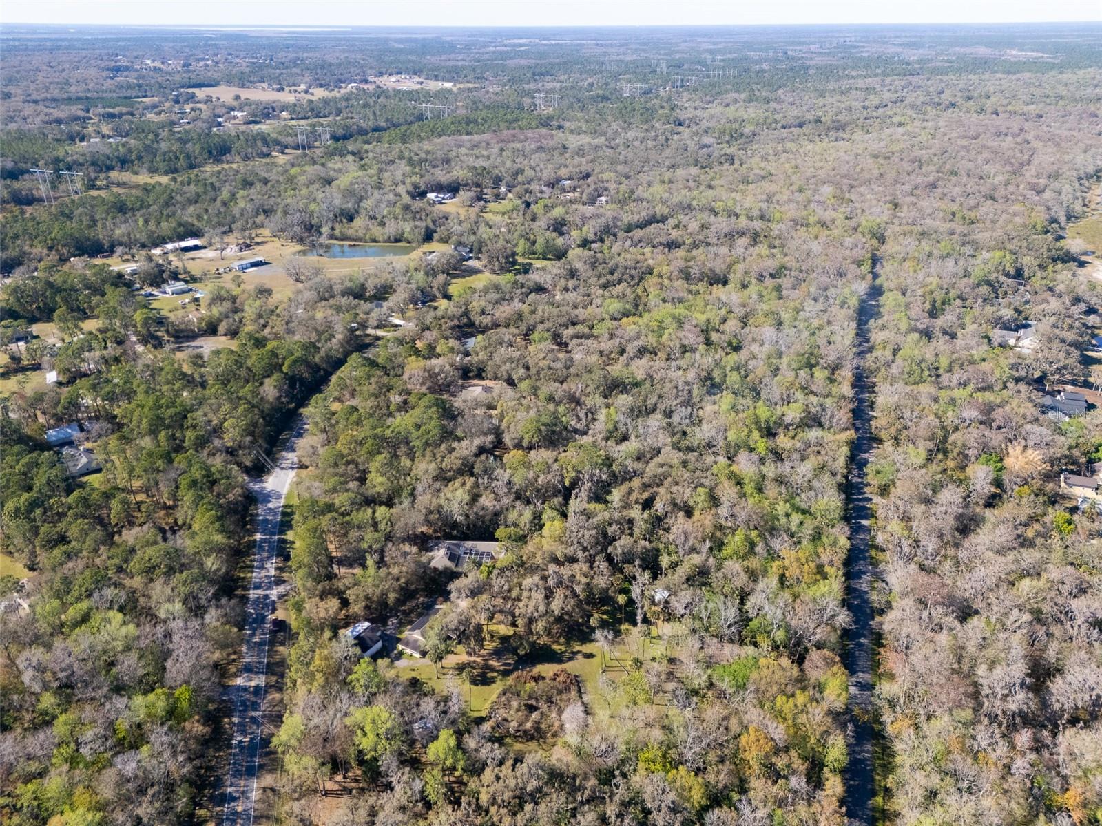 Image 50 of 53 For 295 Jungle Road