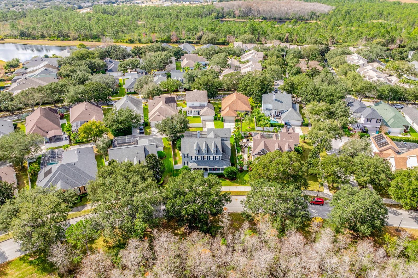 Image 43 of 48 For 9650 Loblolly Pine Circle