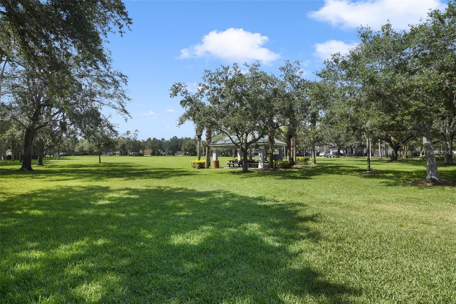 Image 47 of 48 For 9650 Loblolly Pine Circle