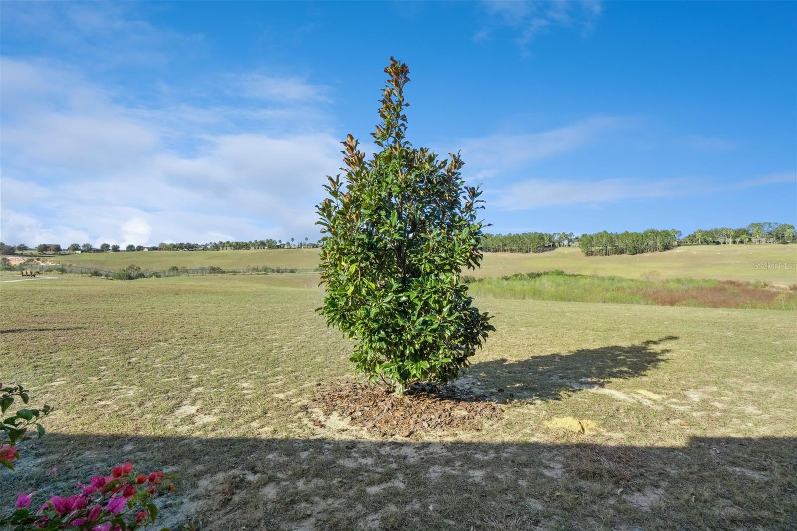 Image 41 of 62 For 3628 Solana Circle C