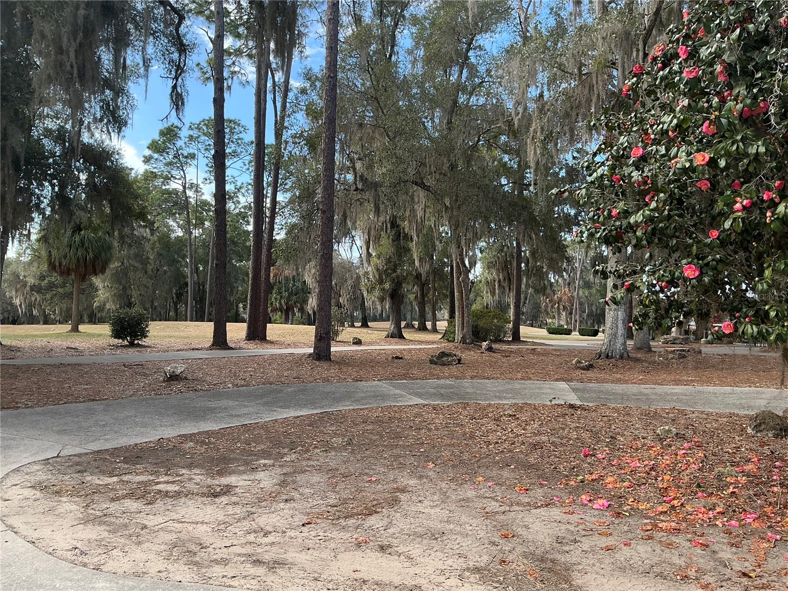 Image 61 of 66 For 8870 191st Circle