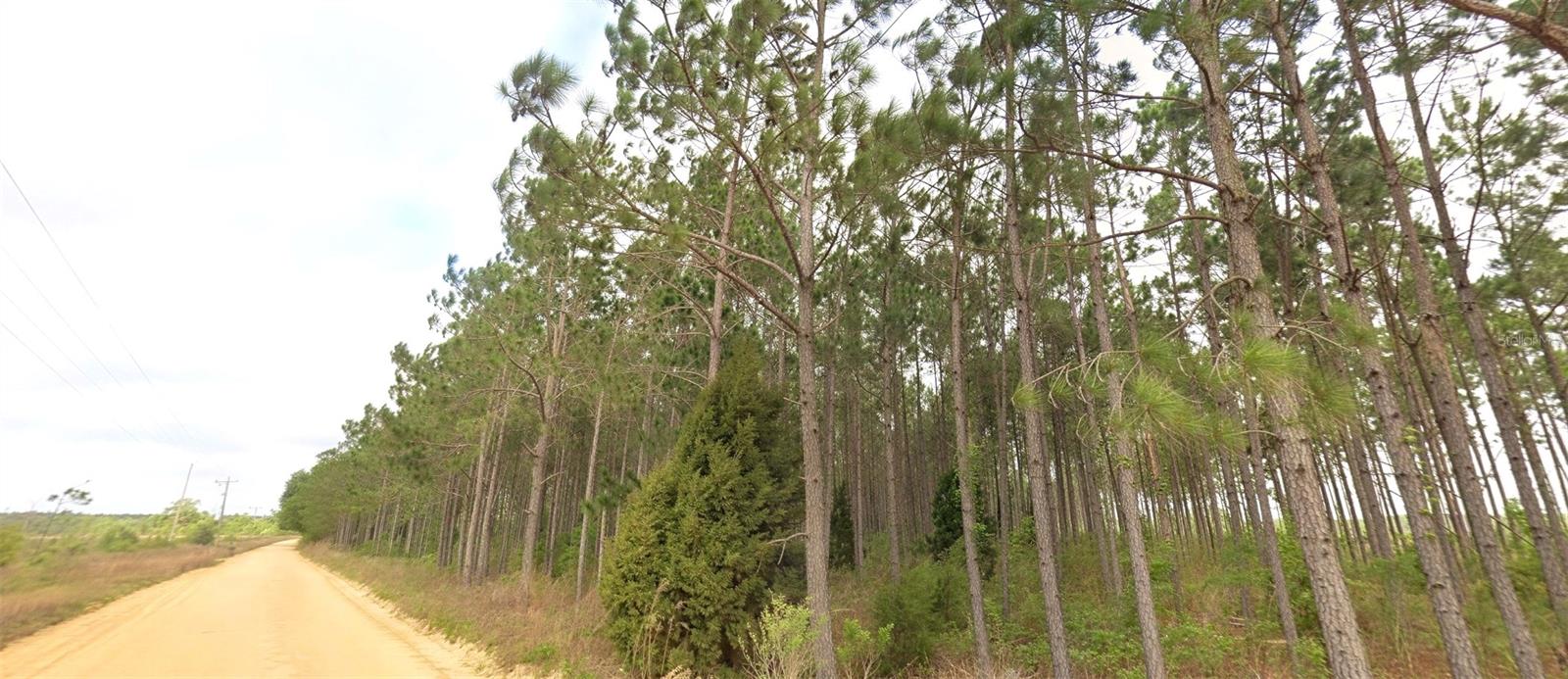 Details for  Tower Road , BASCOM, FL 32423