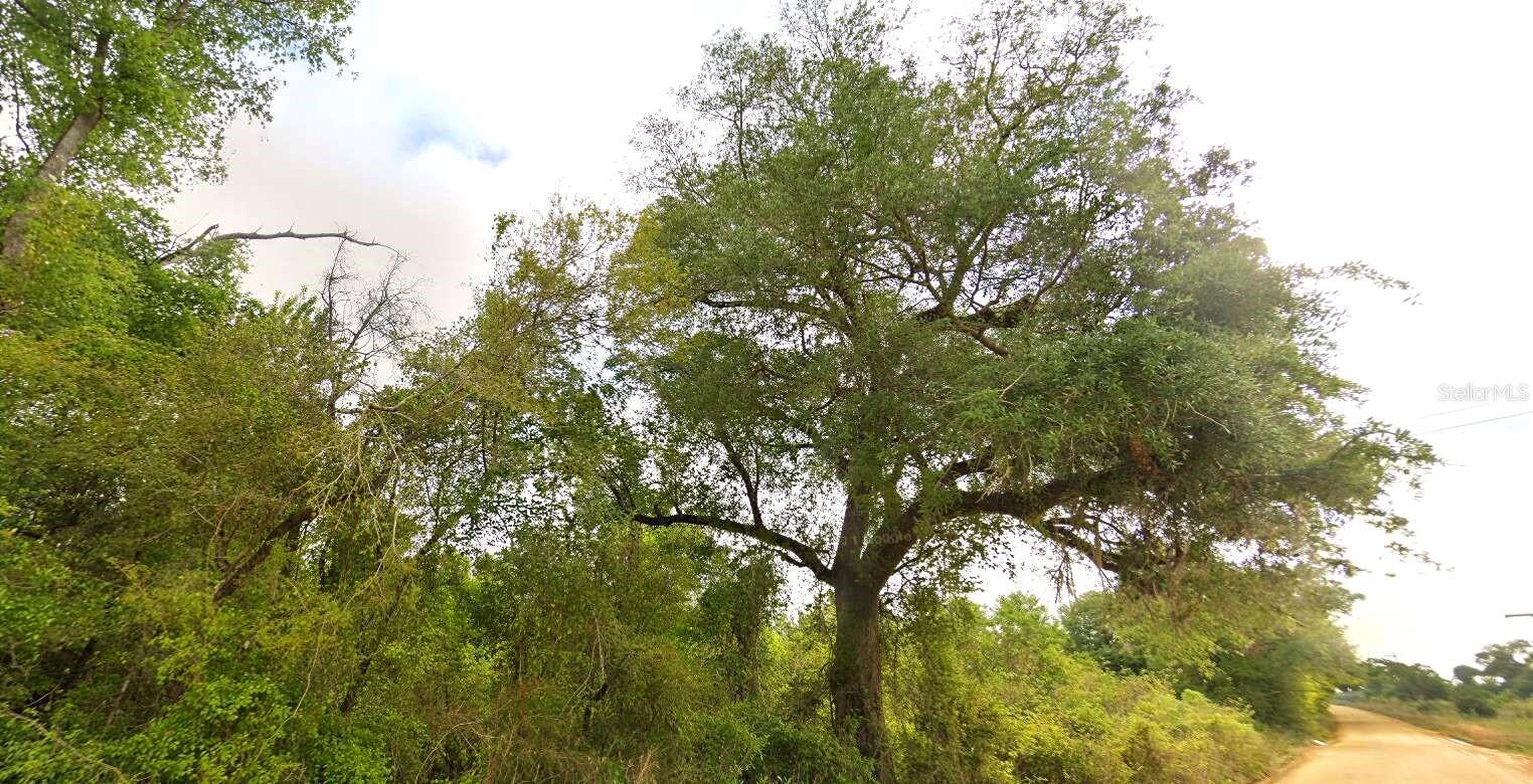 Image 3 of 5 For  Tower Road 