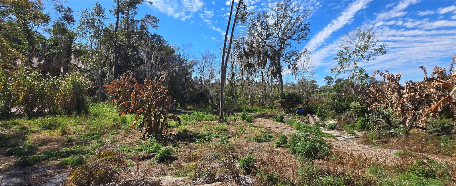 Image 15 of 23 For 745 Waterfall Circle