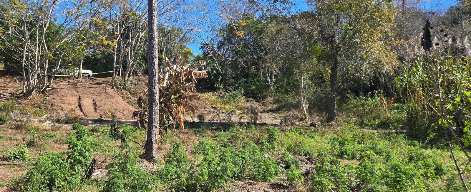 Image 8 of 23 For 745 Waterfall Circle